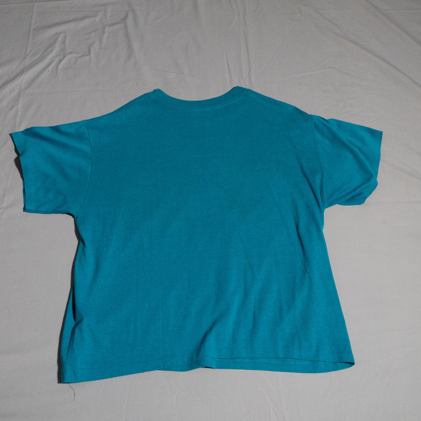 90s Charlotte Hornets T-Shirt L